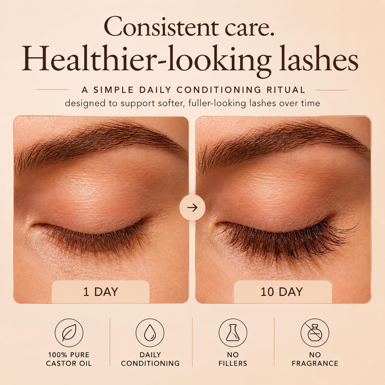 Lash Perfection Day & Night Kit